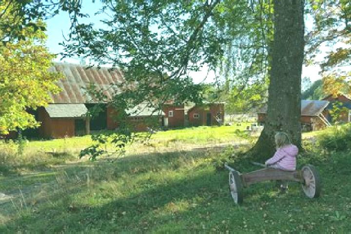 Escorts Skogsby, Sweden — Local Companions