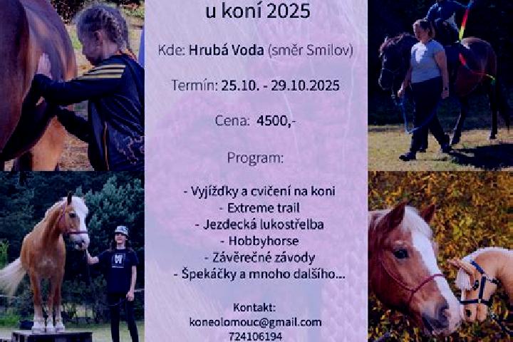 Escorts Skrben, Czech Republic — Local Companions
