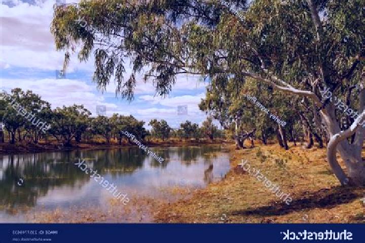 Escorts Slacks Creek, Australia — Local Companions