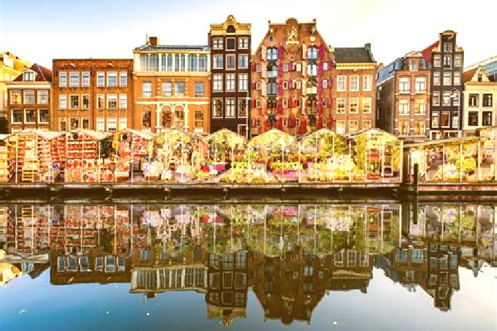 Escorts Sleen, Netherlands — Local Companions