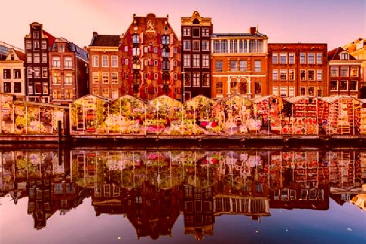 Escorts Slootdorp, Netherlands — Local Companions