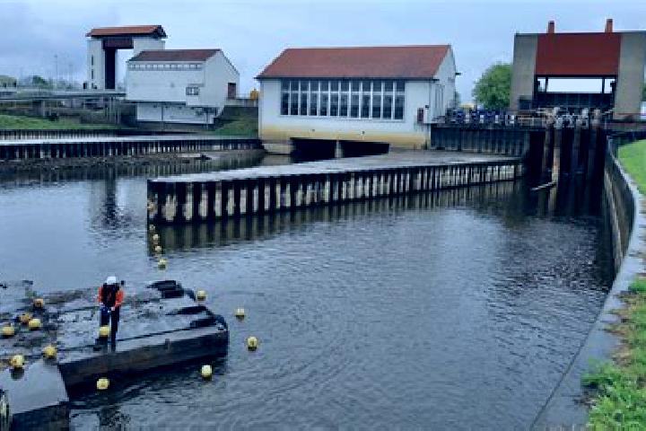 Escorts Sluis, Netherlands — Local Companions