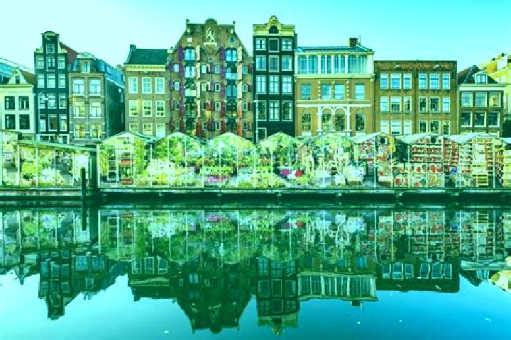 Escorts Sluiskil, Netherlands — Local Companions
