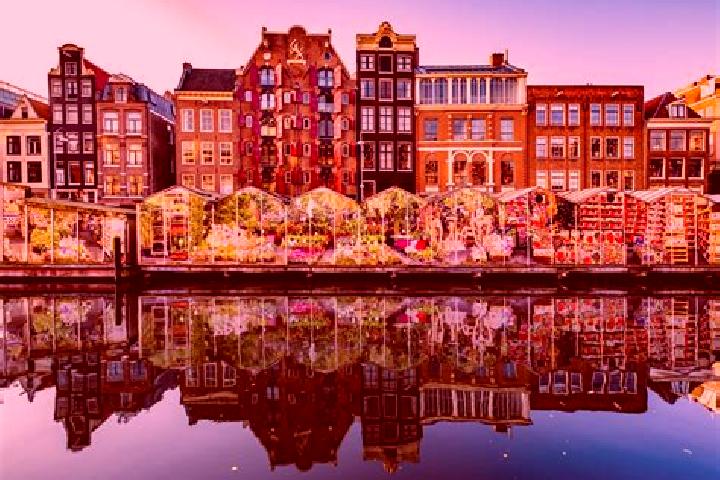 Escorts Soesterberg, Netherlands — Local Companions
