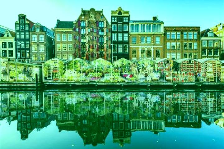 Escorts Sommelsdijk, Netherlands — Local Companions