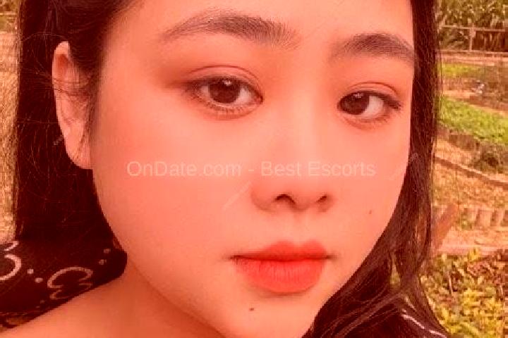 Escorts Son Tay, Vietnam — Local Companions