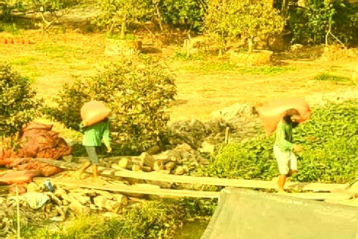 Escorts Song Loc, Vietnam — Local Companions