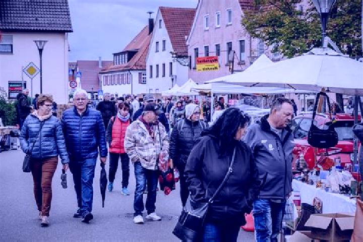 Escorts Sontheim an der Brenz, Germany — Local Companions