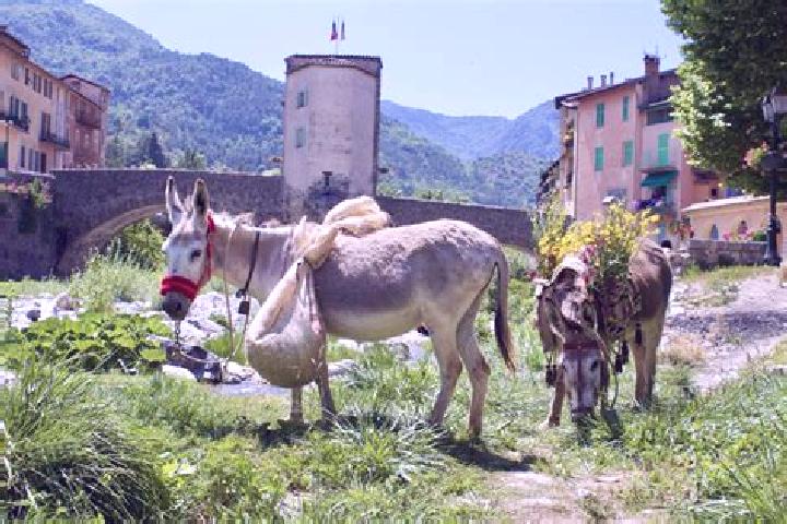 Escorts Sospel, France — Local Companions