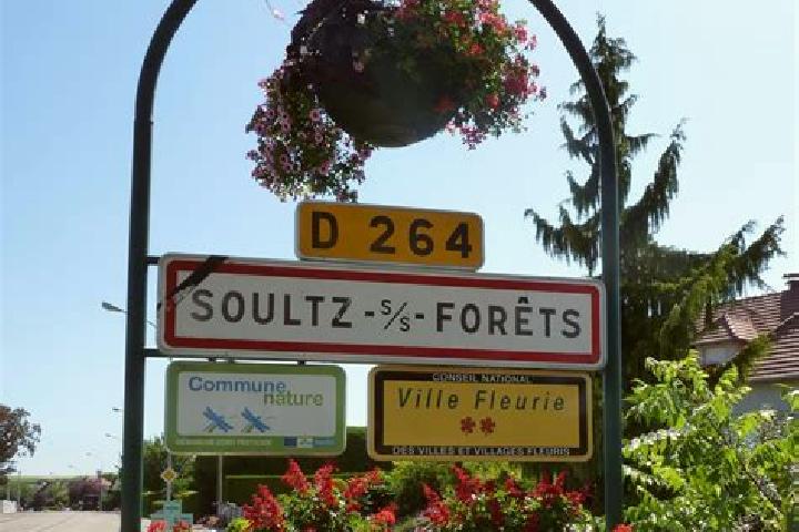 Escorts Soultz-sous-Forets, France — Local Companions