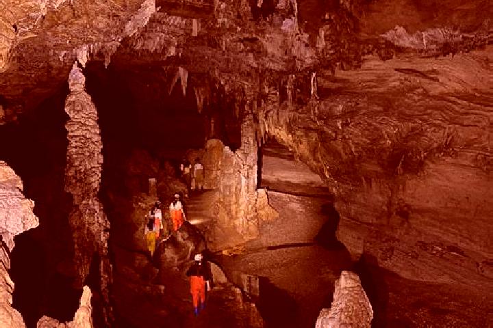 Escorts South Cave, United Kingdom — Local Companions