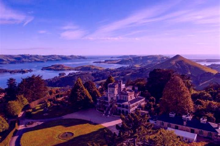 Escorts South Dunedin, New Zealand — Local Companions
