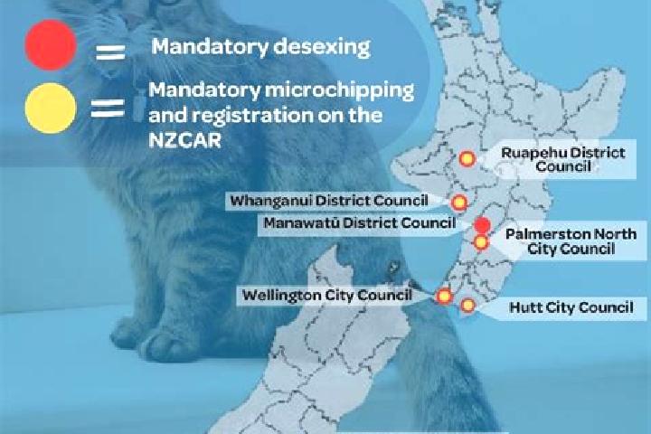 Escorts Southbridge, New Zealand — Local Companions