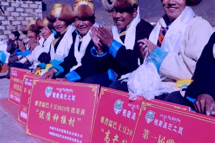 Escorts Sozhug, China — Local Companions