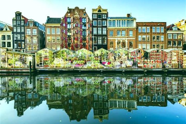 Escorts Spainkbos, Netherlands — Local Companions