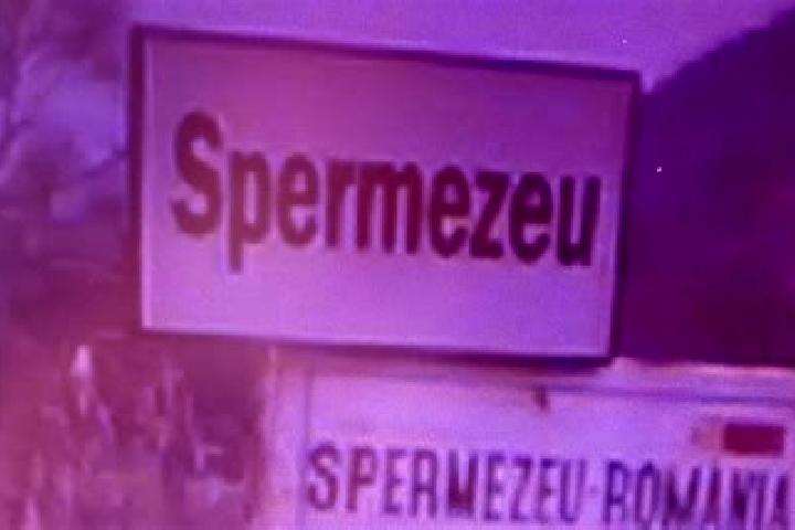 Escorts Spermezeu, Romania — Local Companions