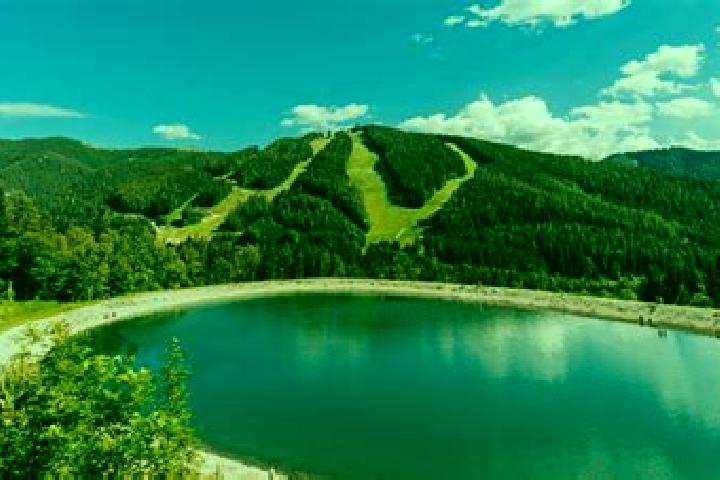 Escorts Spital am Semmering, Austria — Local Companions