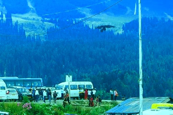 Escorts Srinagar, India — Local Companions