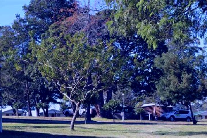 Escorts St George, Australia — Local Companions