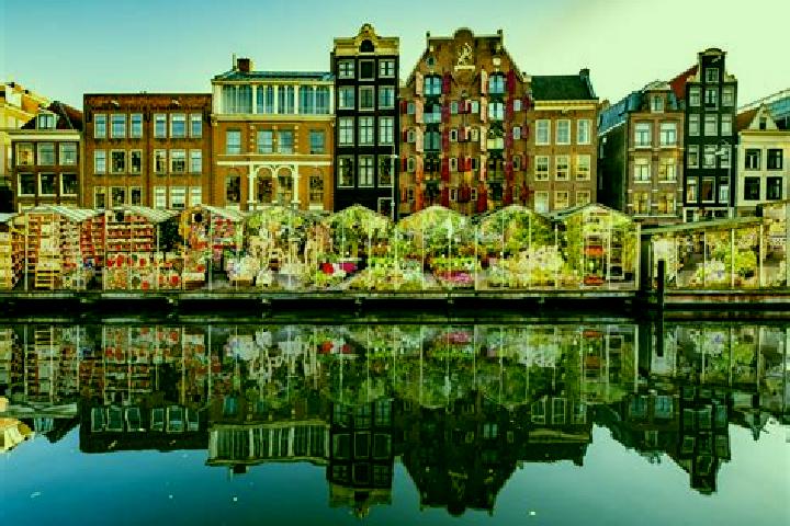 Escorts Steenderen, Netherlands — Local Companions