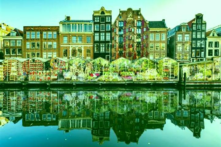 Escorts Steenwijksmoer, Netherlands — Local Companions