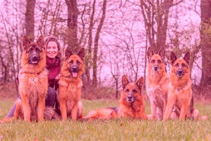 Escorts Stelle, Germany — Local Companions