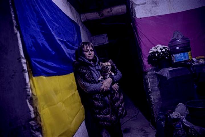 Escorts Stepnohirsk, Ukraine — Local Companions