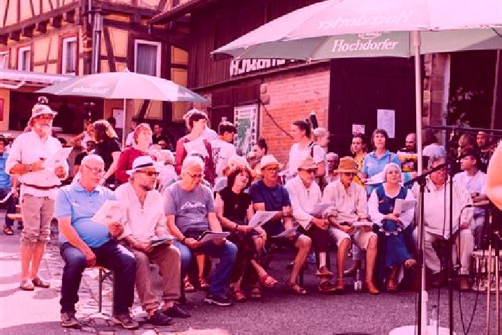 Escorts Sternenfels, Germany — Local Companions