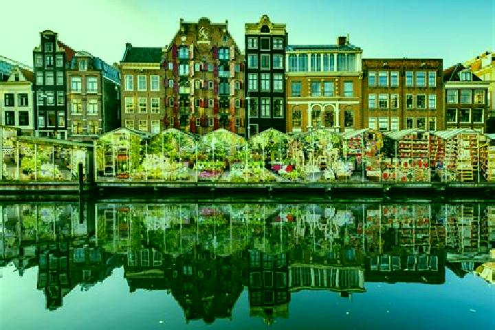 Escorts Stolwijk, Netherlands — Local Companions