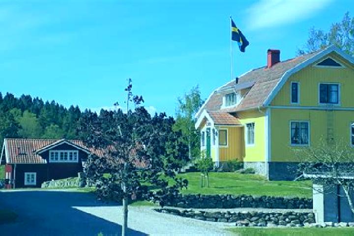 Escorts Stora Hoega, Sweden — Local Companions