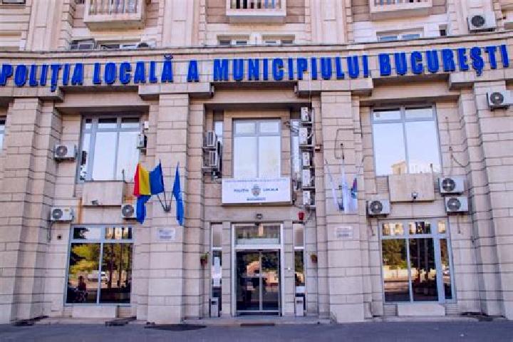 Escorts Storesti, Romania — Local Companions