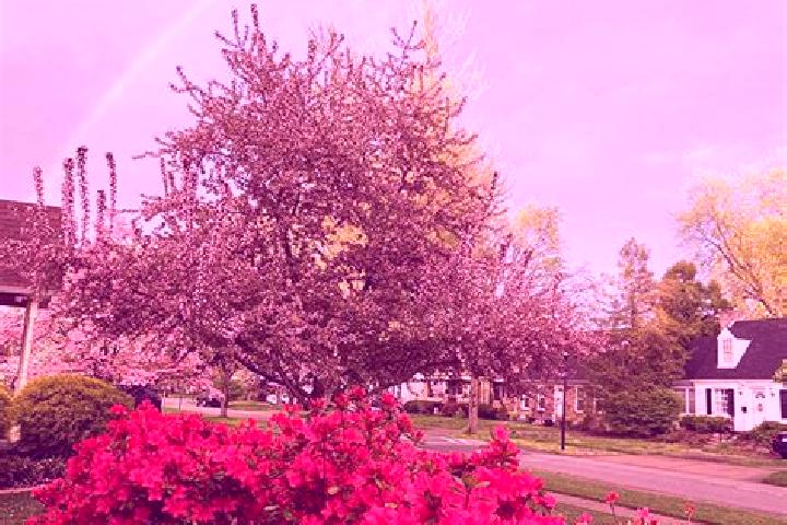 Escorts Strathmoor Village, United States — Local Companions