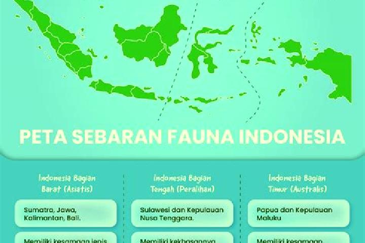 Escorts Sukacai Tengah, Indonesia — Local Companions