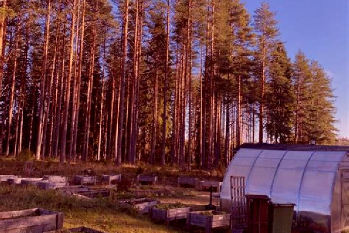 Escorts Sulkava, Finland — Local Companions