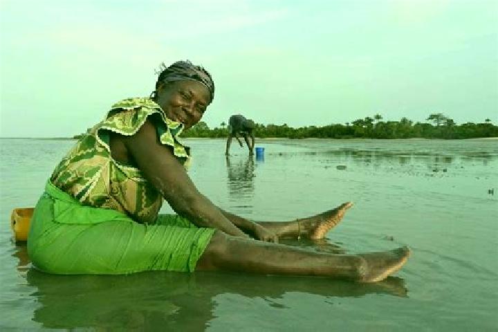 Escorts Sulolor, Gambia — Local Companions