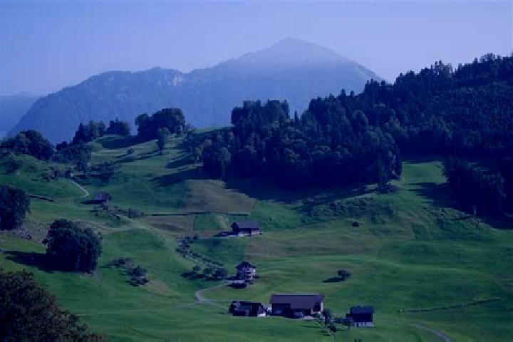 Escorts Sulz, Switzerland — Local Companions