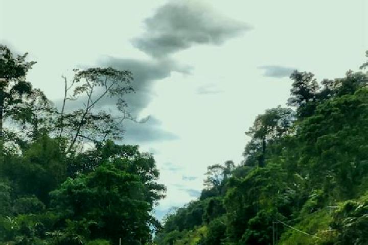 Escorts Sungai Koyan, Malaysia — Local Companions