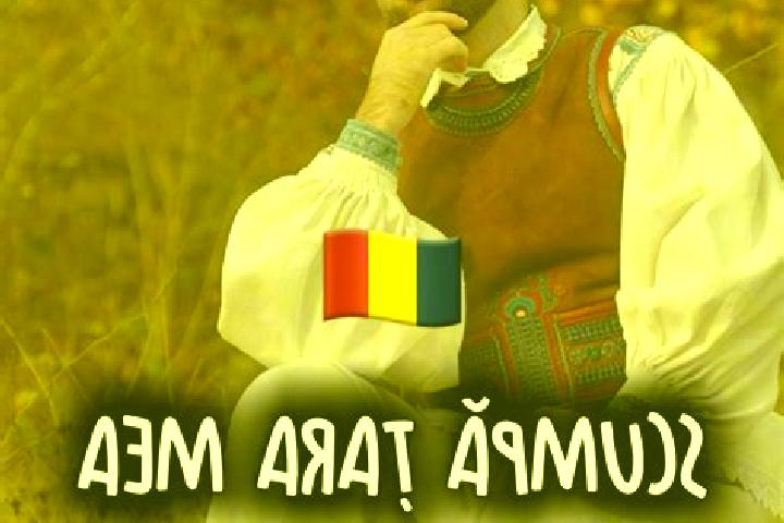 Escorts Surcea, Romania — Local Companions