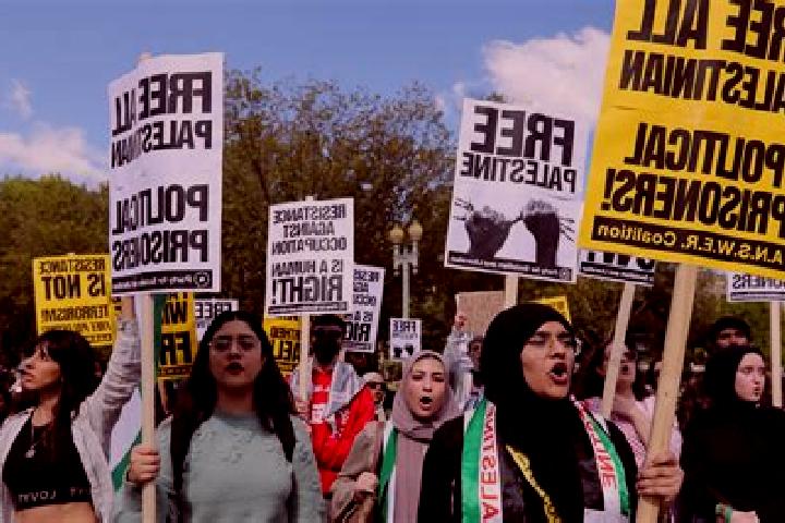Escorts Surda, Palestine — Local Companions