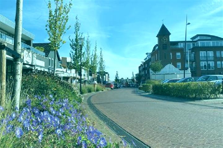 Escorts Surhuisterveen, Netherlands — Local Companions