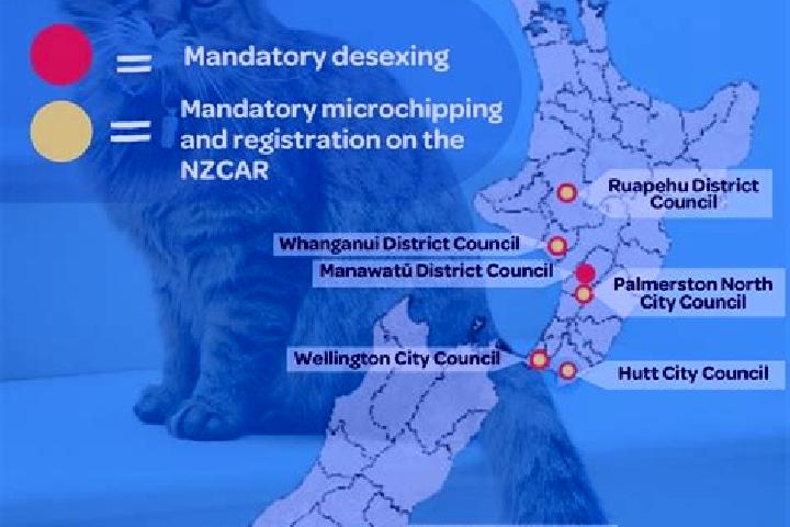 Escorts Swannanoa, New Zealand — Local Companions