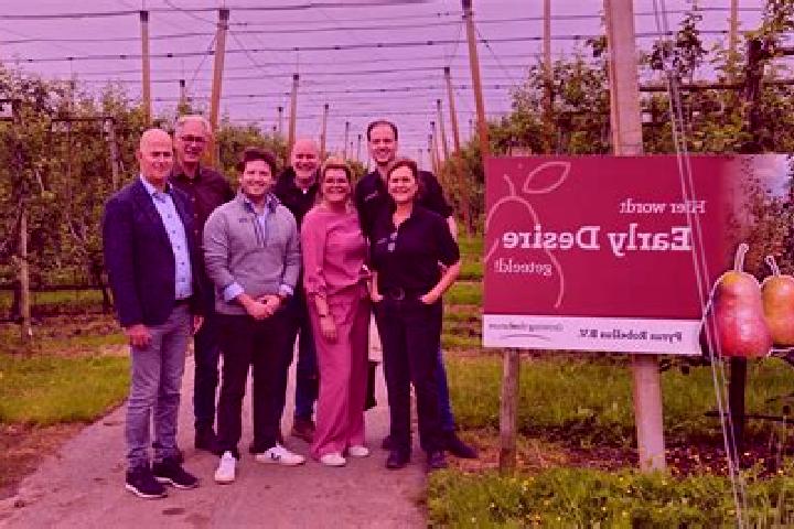 Escorts t Goy, Netherlands — Local Companions
