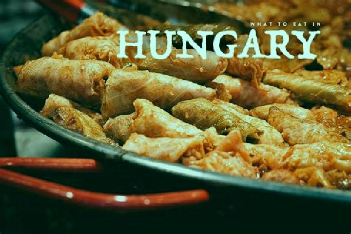Escorts Tab, Hungary — Local Companions