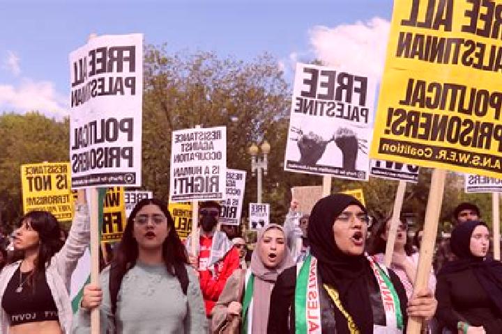 Escorts Taffuh, Palestine — Local Companions