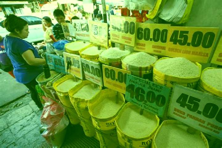 Escorts Tagbubungang Diot, Philippines — Local Companions