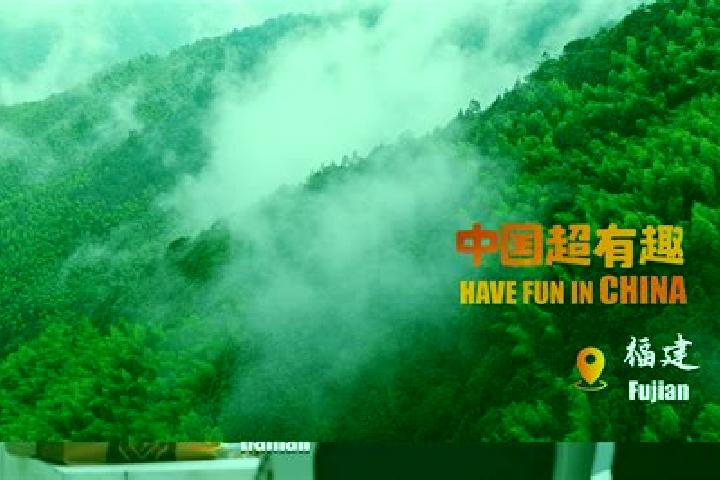 Escorts Taining, China — Local Companions