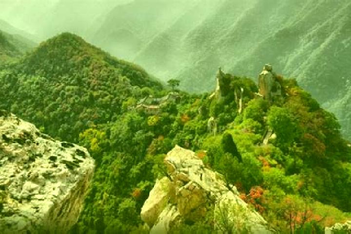 Escorts Taiyigong, China — Local Companions