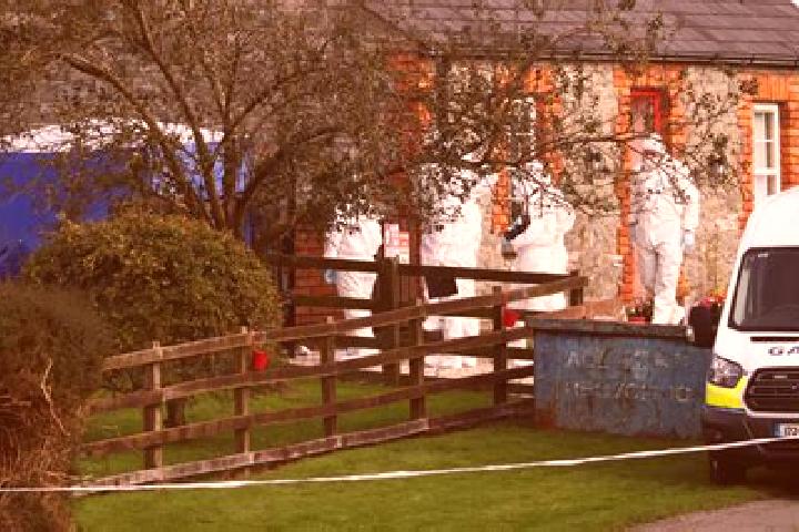 Escorts Tallanstown, Ireland — Local Companions