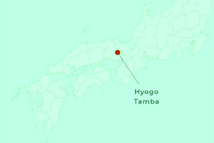 Escorts Tamba, Japan — Local Companions