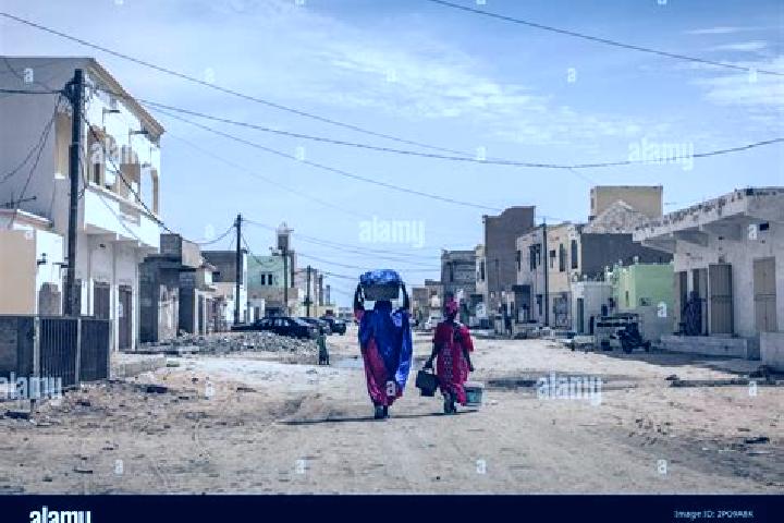 Escorts Tamchekett, Mauritania — Local Companions